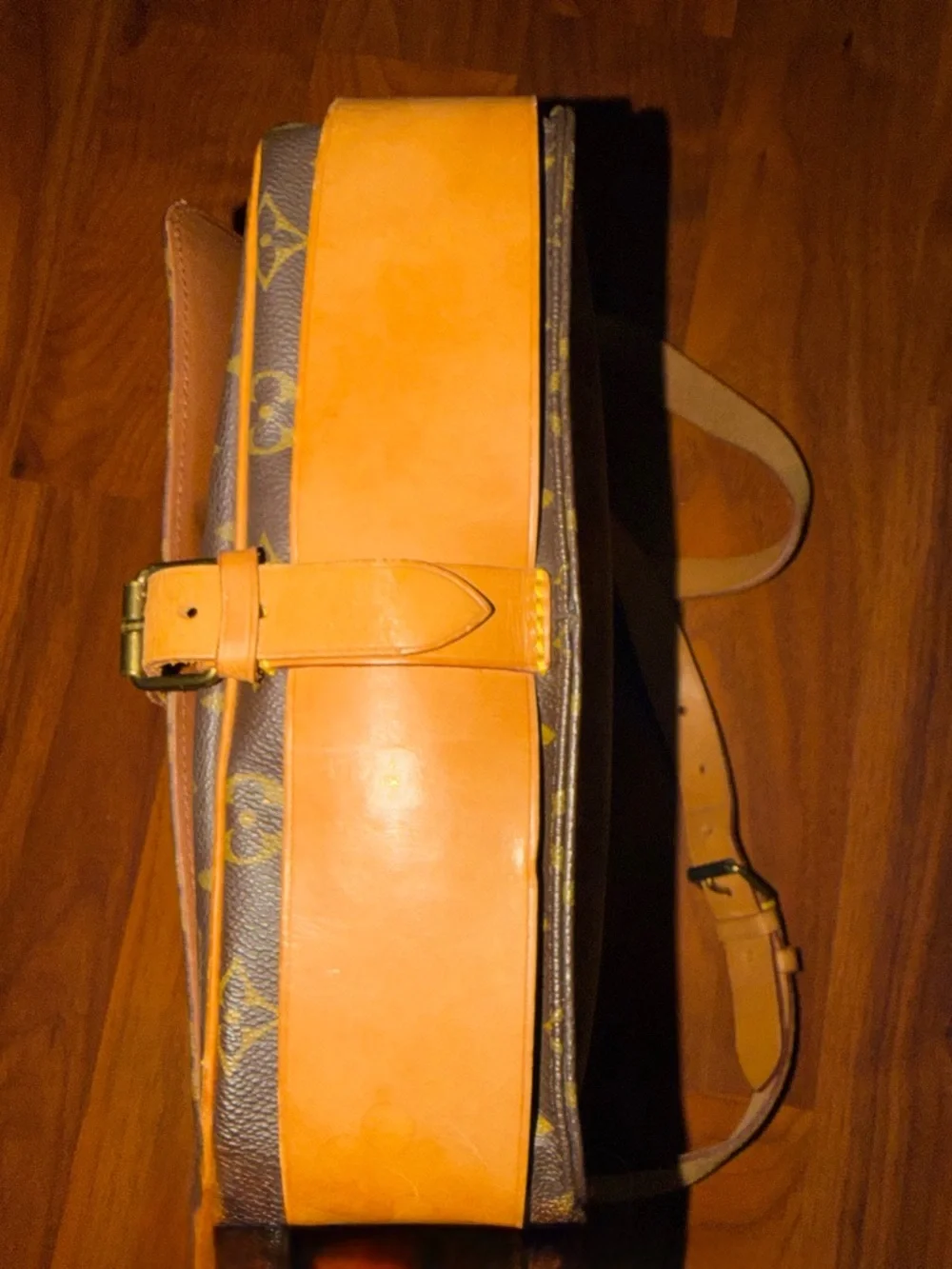 Louis Vuitton authentic louis